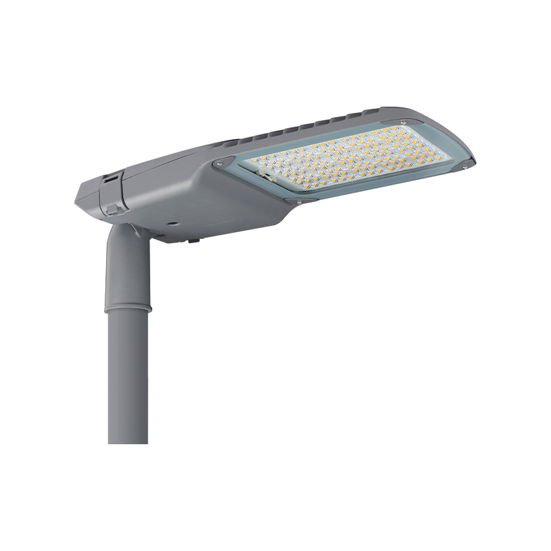 Lampu Jalan LED Seri SAVANNA Tahan Air IK09 IP66 Desain Baru
